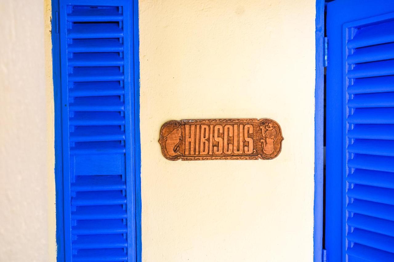 Hibiscus Beach House Pangani Eksteriør bilde