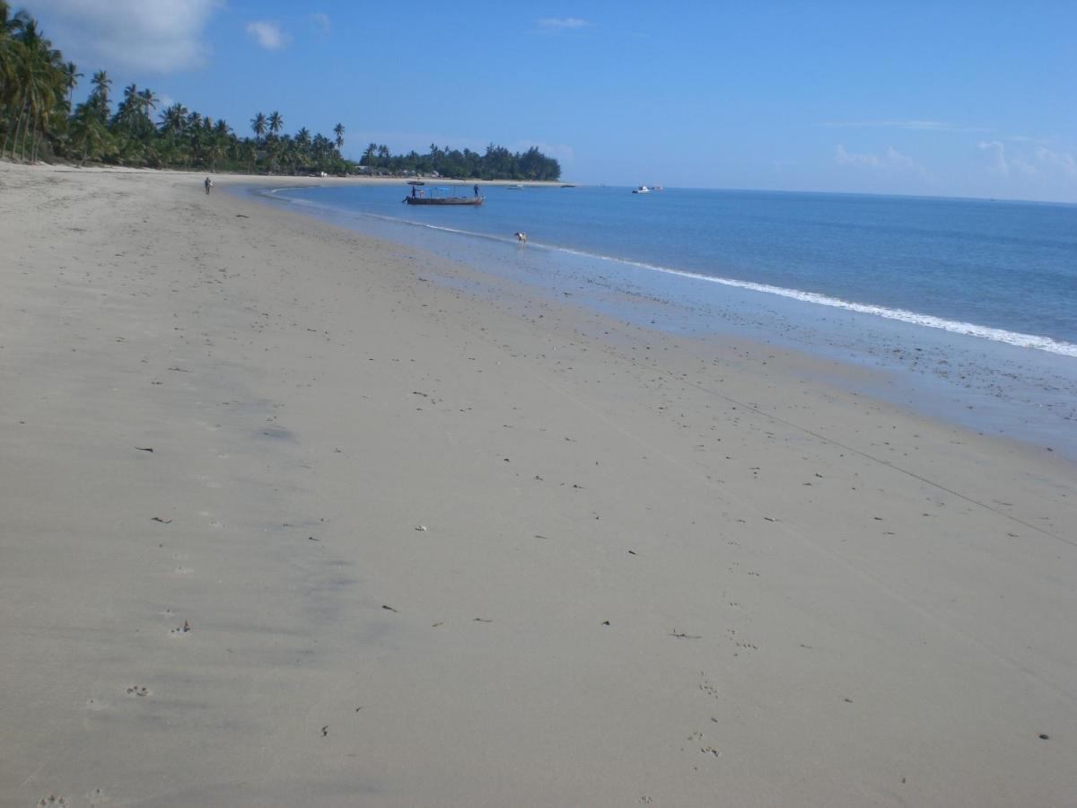 Hibiscus Beach House Pangani Eksteriør bilde